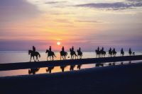 Alessandro Bacchetti-Horses